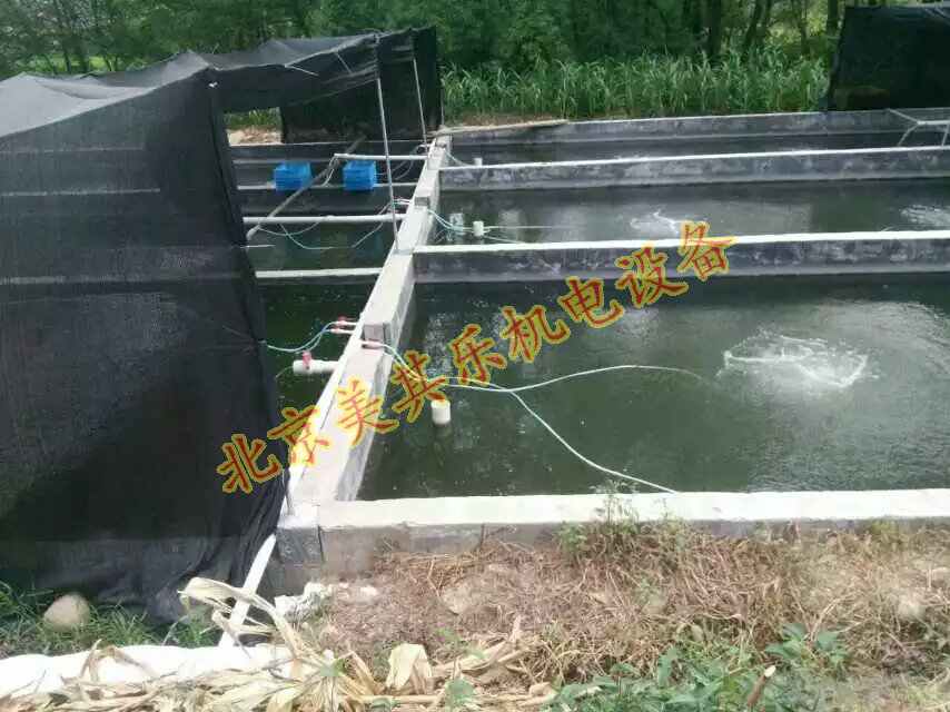 使用漩渦風機增氧安全嗎